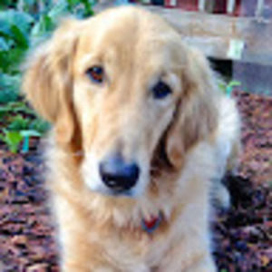 Meet your Posher, Shelli